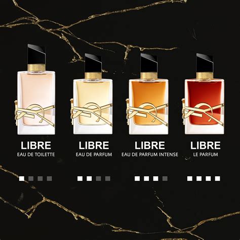 libre YSL base